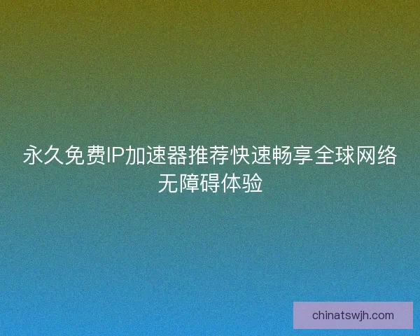 永久免费IP加速器推荐快速畅享全球网络无障碍体验
